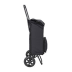 Daily Shopping Trolley 1
