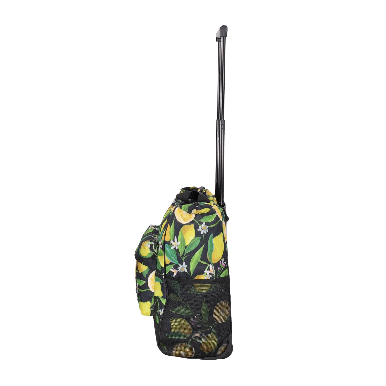 Daily Shopping Trolley 2