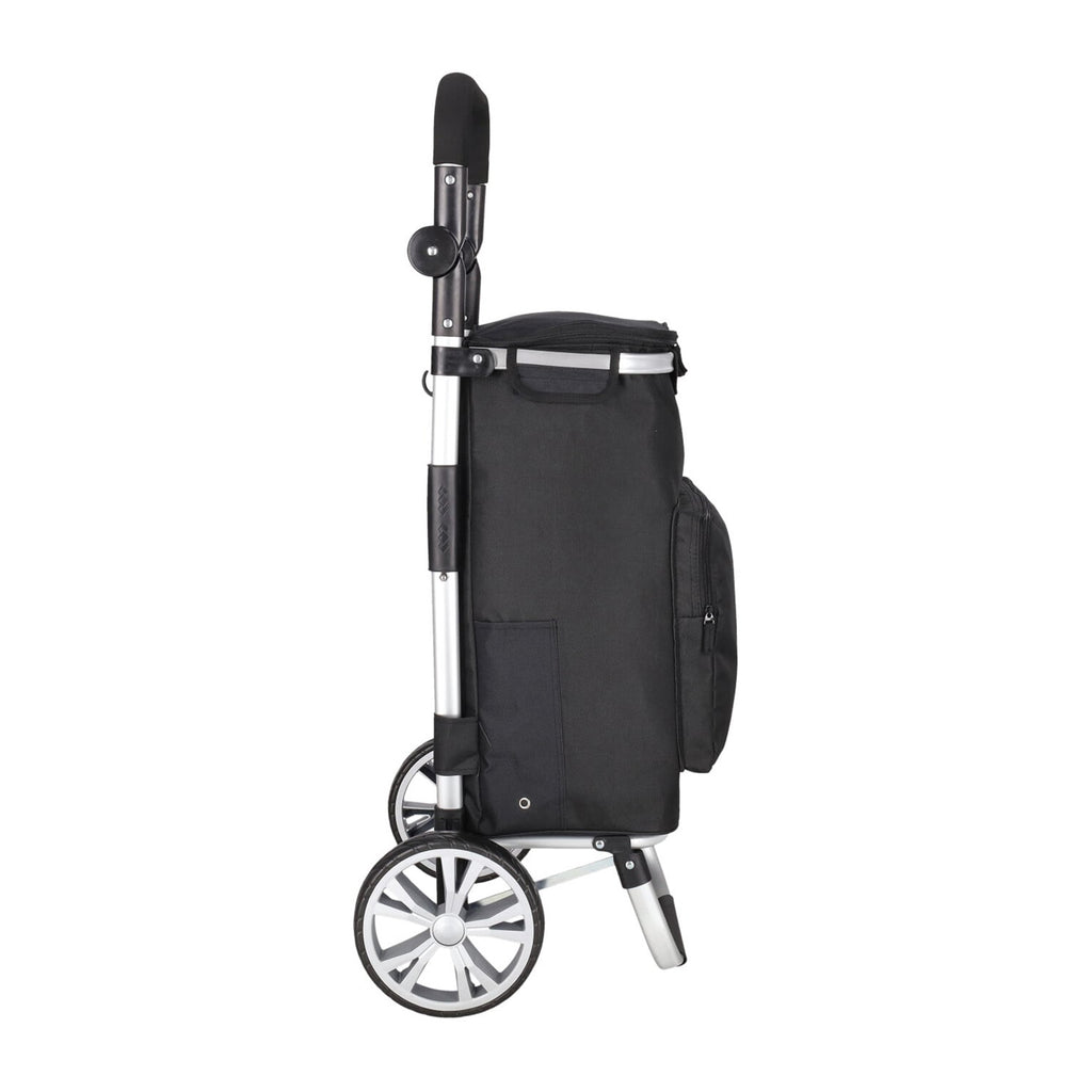 Daily Shopping Trolley 4
