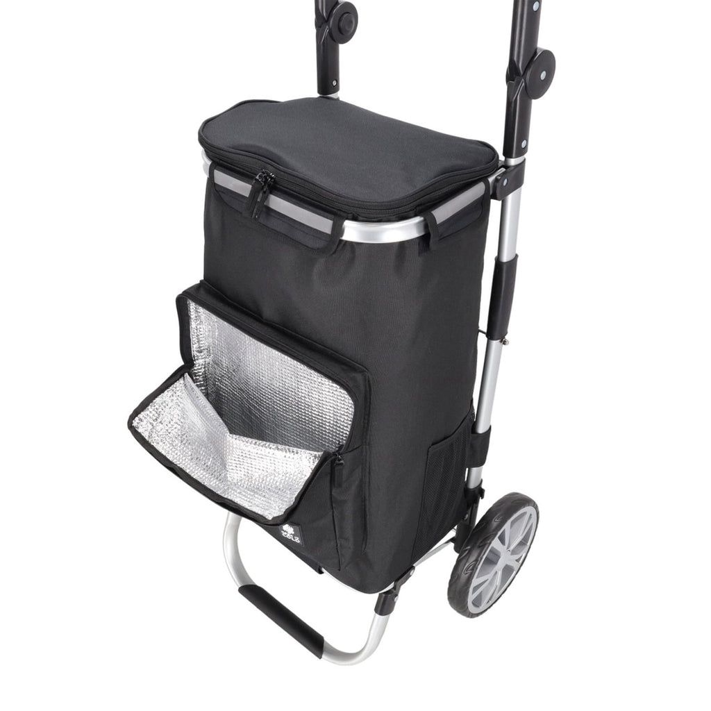 Daily Shopping Trolley 4