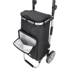 Daily Shopping Trolley 4