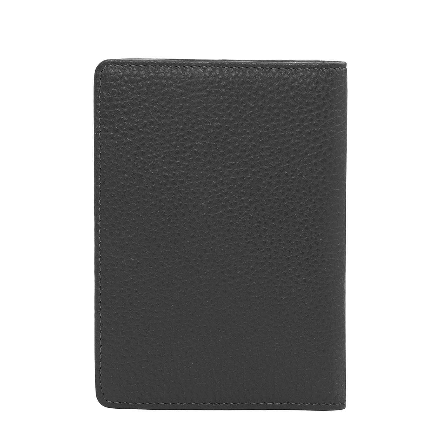 Theo RFID passport case 4CS