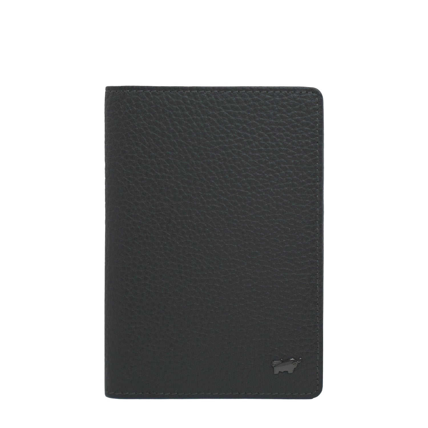 Theo RFID passport case 4CS