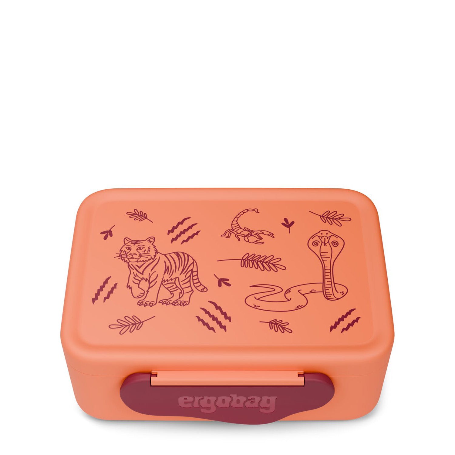 Lunchbox (plastic)