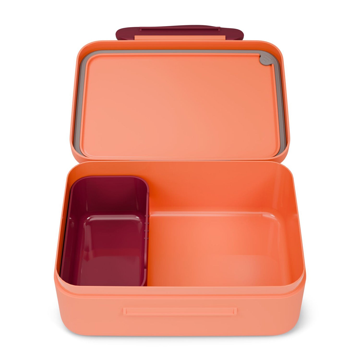 Lunchbox (plastic)