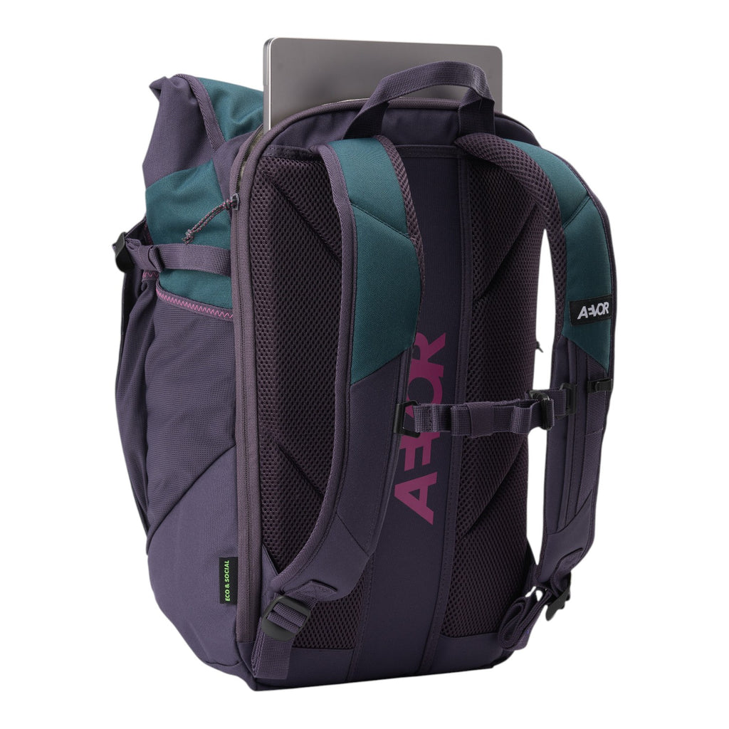 Lieblingstasche Roll Pack 2.0 backpack in purple and teal with a laptop compartment and ergonomic mesh back panel