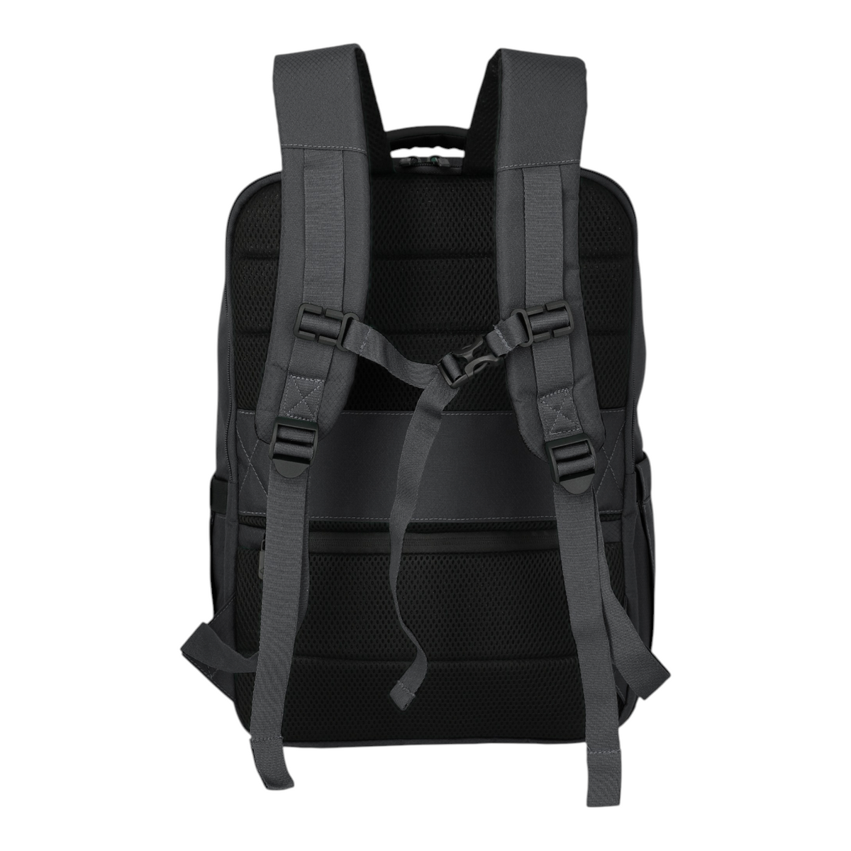 Back view of the black Lieblingstasche Skaii Rucksack M featuring padded shoulder straps and a chest buckle.