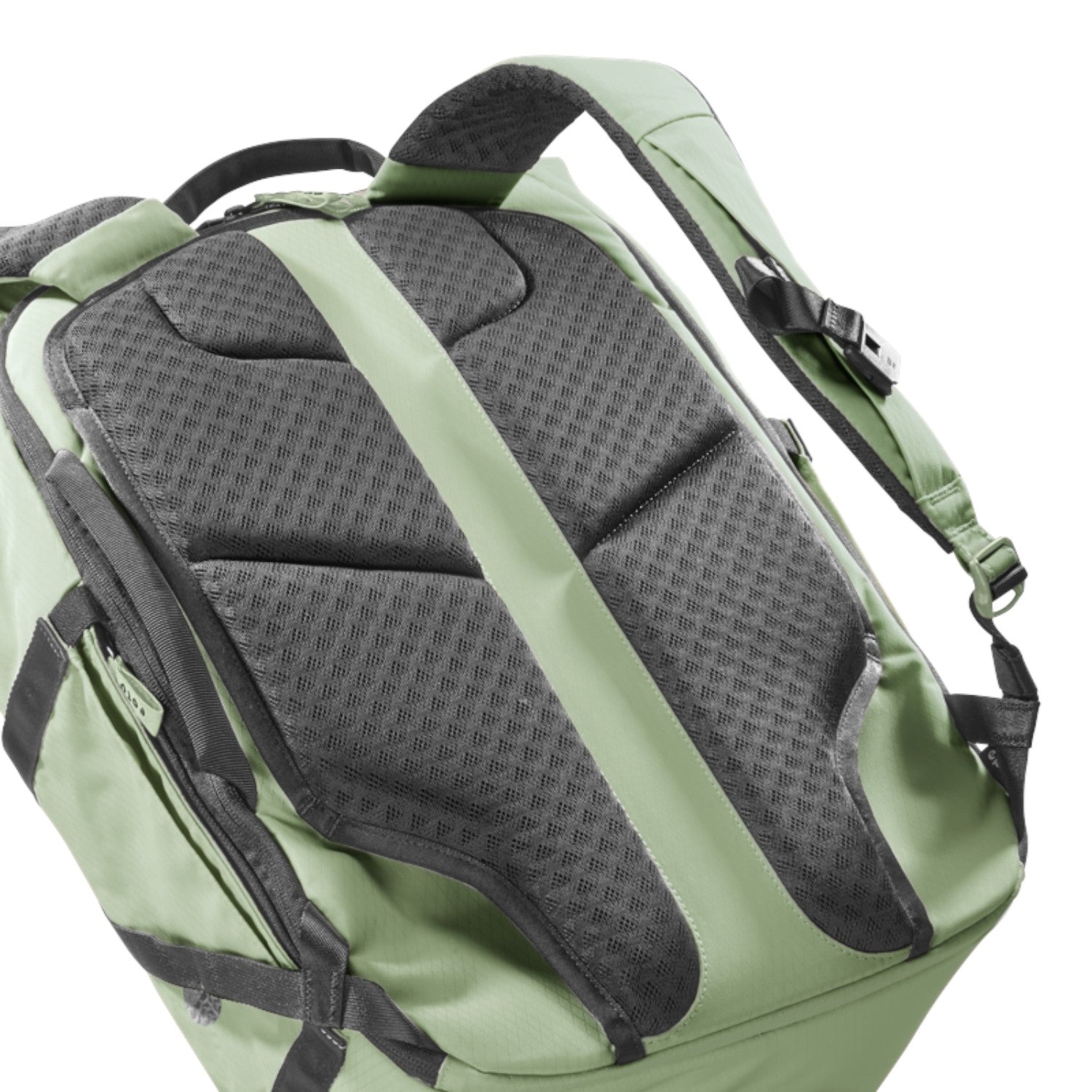 Lieblingstasche Tall41 rolltop travel backpack in sage green with breathable mesh back padding and shoulder straps