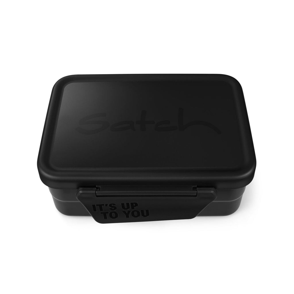 Stainless steel lunch box