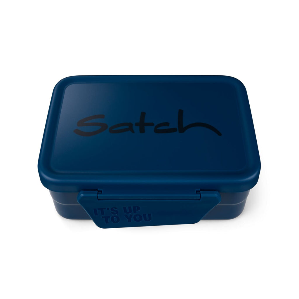 Stainless steel lunch box