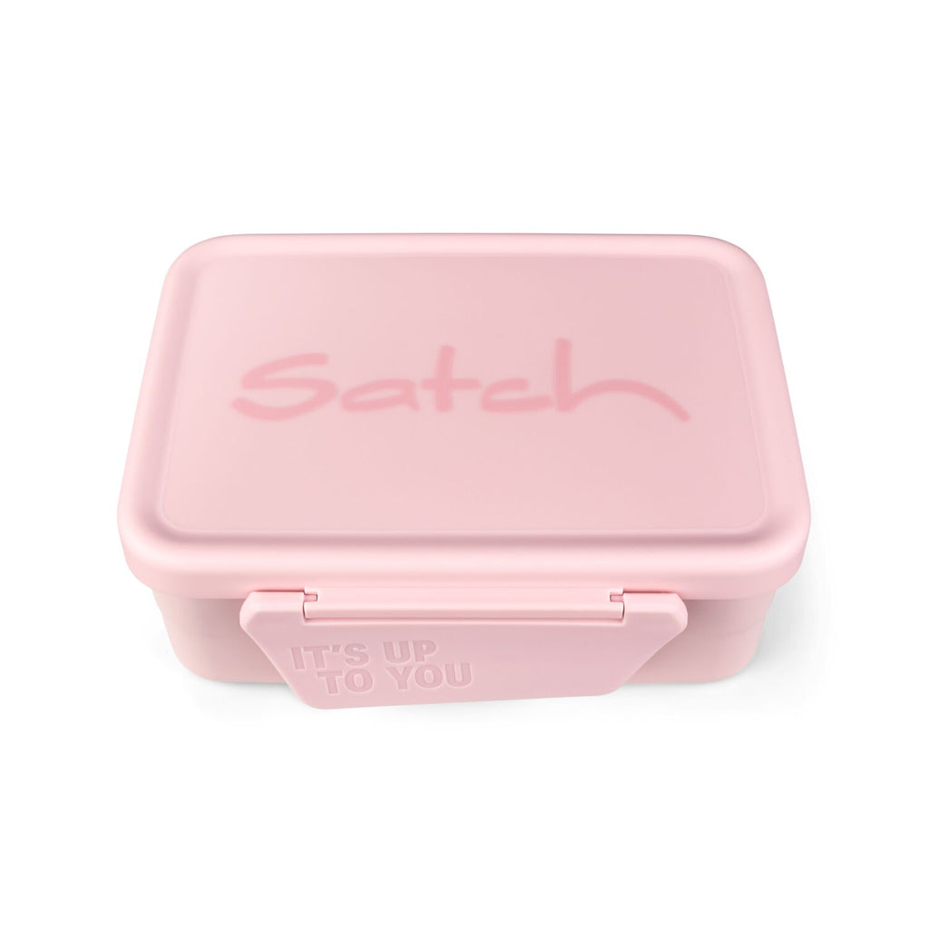 Stainless steel lunch box