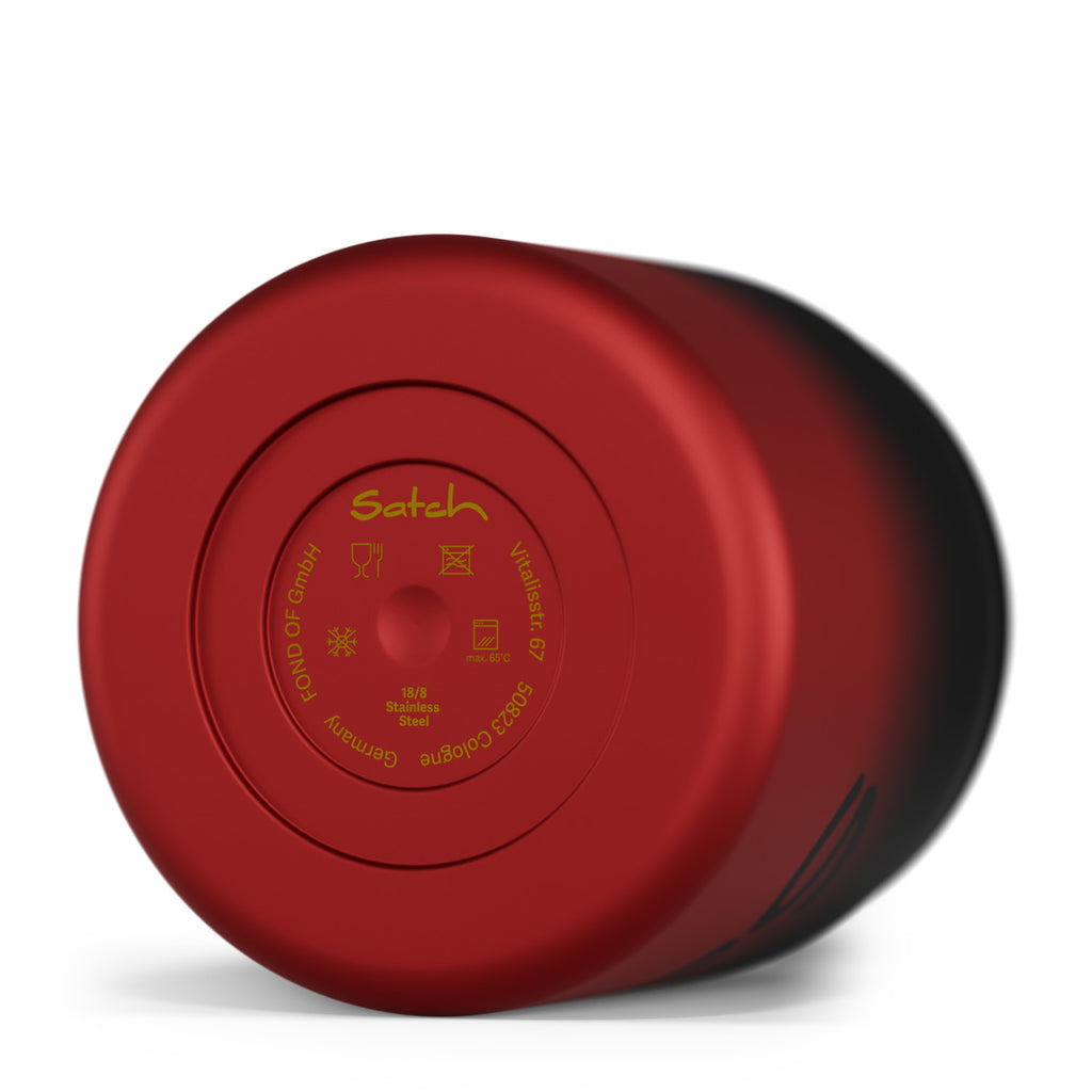 Insulated Food Container
