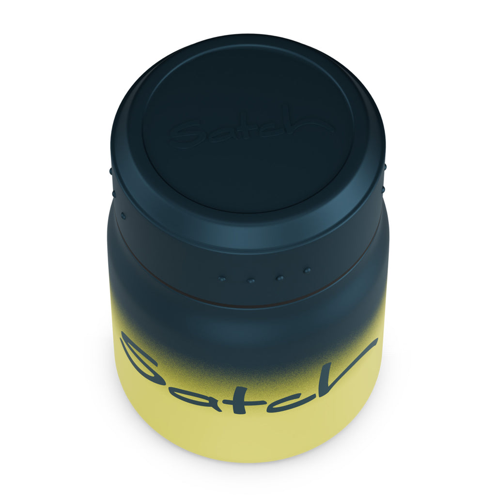 Insulated Food Container