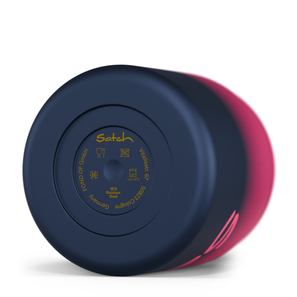 Insulated Food Container