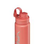 stainless steel drinking bottle